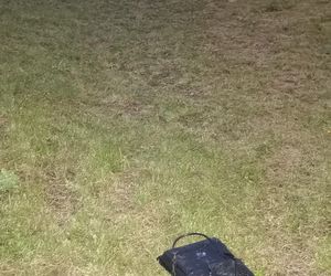 Bałagan na skateparku na Gronowie