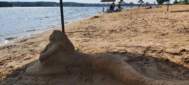 Szukamy imienia dla Syrenki, która pojawiła się na plaży w Brodach