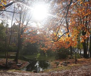 Park Wilsona