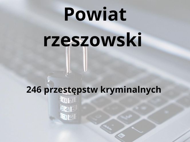 To tu na Podkarpaciu dochodzi do największej liczby przestępstw kryminalnych