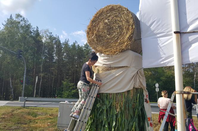 Żniwa dobiegają końca! Pod Bydgoszczą pojawiają się pierwsze witacze 