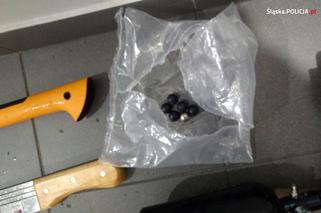 Sosnowiec: Maczety, noże i kije baseballowe. Policja udaremniła ustawkę pseudokibiców [ZDJĘCIA, WIDEO]