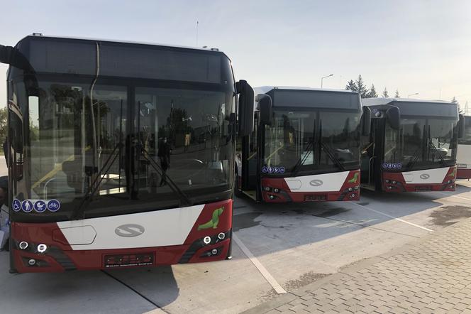 Autobusy miejskie Opole