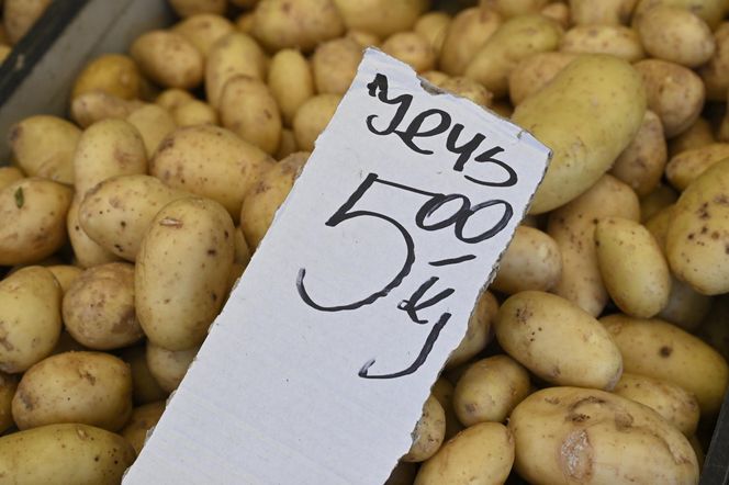  Ceny nowalijek na warszawskich bazarach szokują. Byliśmy i sprawdziliśmy ile trzeba zapłacić