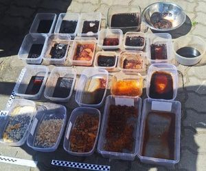 Kolejny cios w narkobiznes. Policja zlikwidowała tajne laboratorium pod Bydgoszczą!