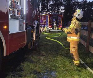 Ogień zmienił schronisko w zgliszcza! Straty są ogromne. „Jesteśmy zdruzgotani”