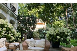 Maryla Rodowicz jest podglądana w swoim ogrodzie 