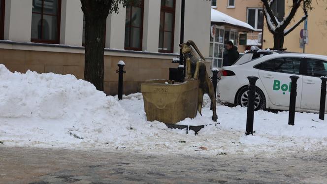 Św. Mikołaj w tym roku nie ma na co narzekać! W Lublinie pogoda idealna do jeżdżenia saniami!