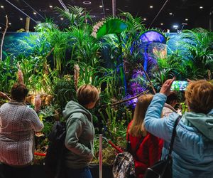 Ponad 100 000 roślin i pięć niezwykłych światów – rusza World Flower Show w Polsce!