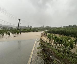 Intensywne deszcze nad Małopolską. Zalane ulice i masa podtopień. Strażacy wyjeżdżali co chwilę [ZDJĘCIA]. 