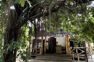  Bogusław Linda bez koszulki na wakacjach w Afryce 