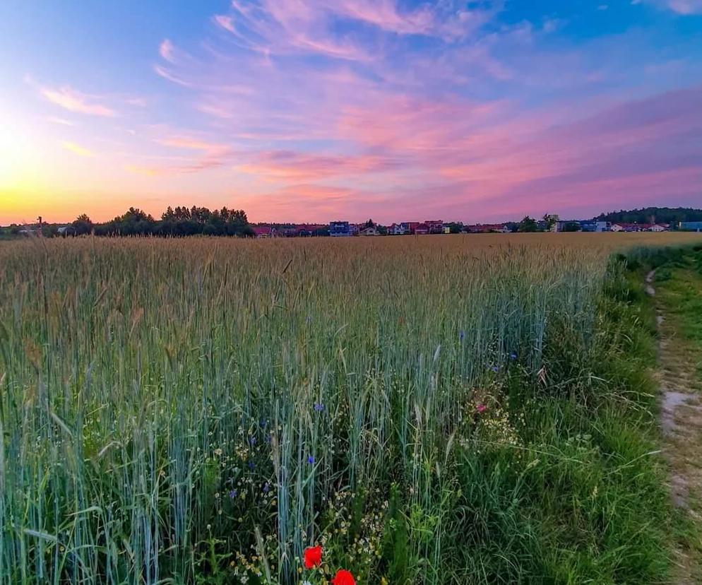 W trosce o środowisko