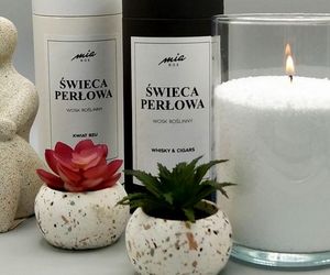 MiaBox – aromaty, które wprowadzają spokój, piękno i zdrowie do Twojego domu