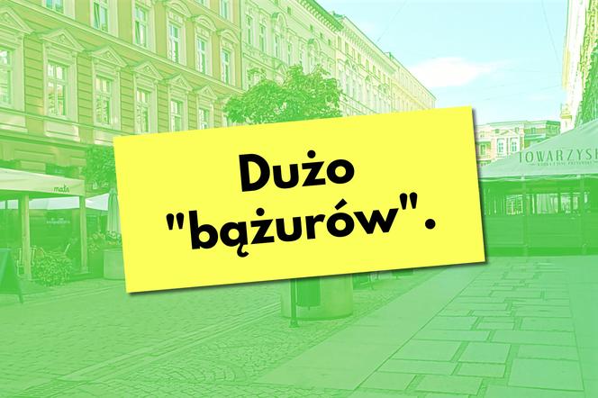 Z czym kojarzy się mieszkańcom Szczecina deptak Bogusława?