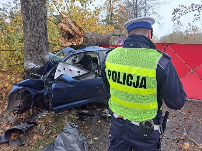 Audi wbiło się w drzewo, 18-latka nie żyje