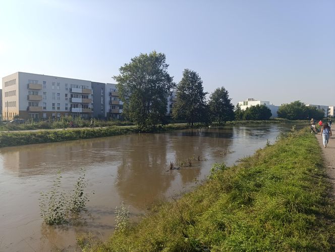 Stan rzeki Ślęza cały czas się podnosi. Przekroczono już stan alarmowy. Jak wygląda sytuacja?