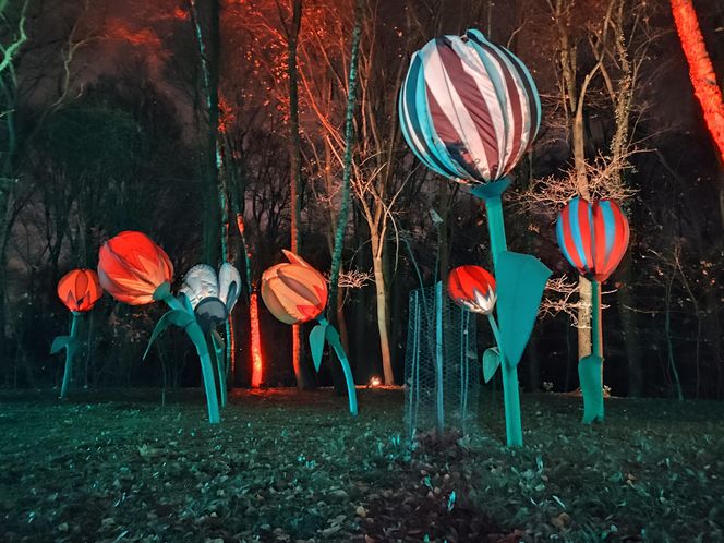 Park iluminacji w Lublinie