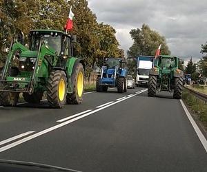 Jak uniknąć utrudnień w ruchu? 