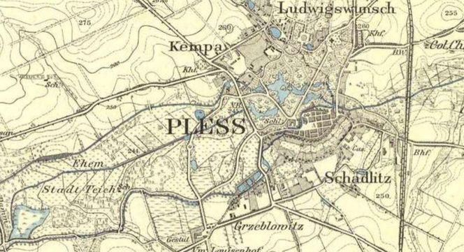 Pszczyna
