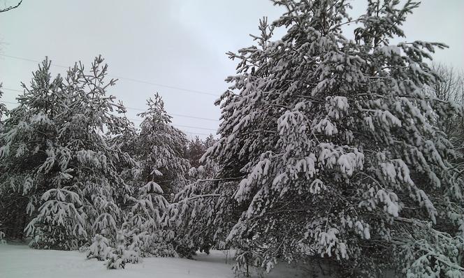 Nagły atak zimy w Wielkanoc. Spadło nawet 40 cm śniegu