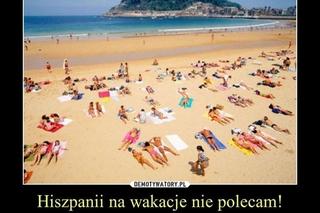 Do Polski dotarła fala gorąca. Te memy na temat upalnych dni rozbawią wszystkich do łez!