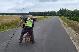 Tajemnicze zaginięcie 30-letniej Jowity. Kobieta wracała z pracy i zniknęła na leśnej drodze