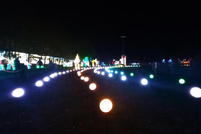 Garden of Lights w Szczecinie