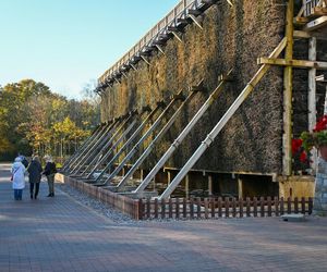 Uzdrowisko Inowrocław świętuje 150-lecie