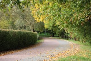 Jesienna odsłona terenów nad Bystrzycą w Lublinie. Tak się prezentuje w październiku