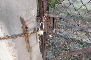  Willa z niezwykłą historią straszy w centrum miasta [GALERIA]