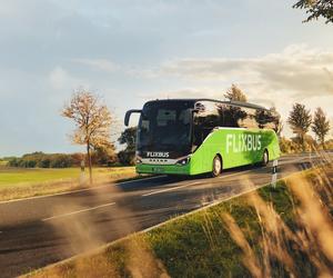 Z Łodzi do Oslo autobusem. FlixBus uruchamia nowe połączenie z Norwegią