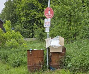 Cmentarz żydowski w Leżajsku