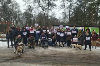 Protest na Barbarce w Toruniu. Społecznicy nie chcą wycinki starych sosen