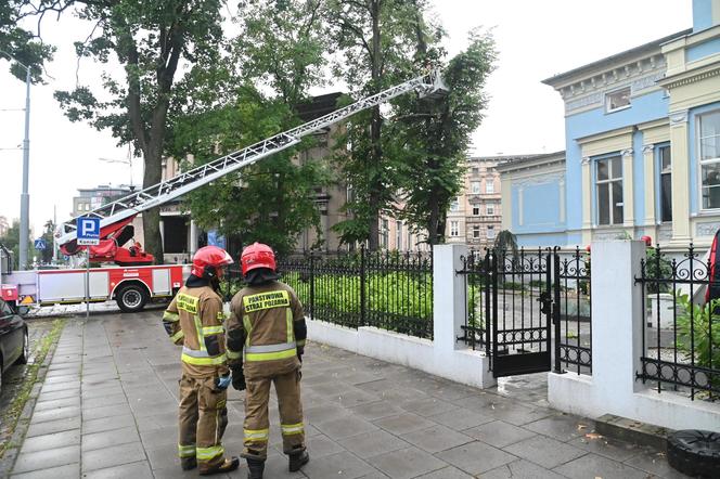 Burze i nawałnice przeszły nad Polską. Strażacy podali miażdżące dane