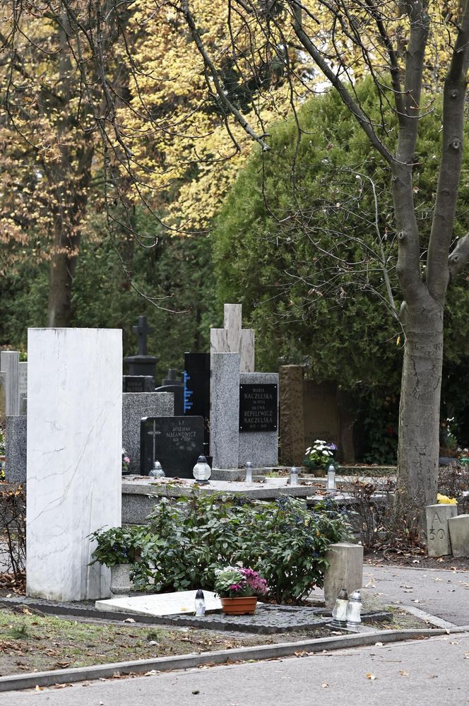 Tak wyglądają groby Zapasiewicza, Tyma, Kołaczkowskiej, Stoparczyk