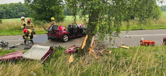 Makabryczny wypadek pod Szczecinem. Rozpędzone auto uderzyło w drzewo. Jedna osoba nie żyje, dwie są ranne