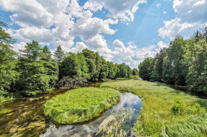 Najlepsze trasy wodne na Podlasiu na letni weekend