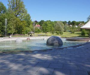 To najpiękniejszy park miejski w Olsztynie według AI. Zajmuje niemal 13 hektarów!