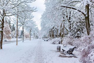 Kiedy spadnie śnieg w 2025 roku? Jest data! Po ciepłym tygodniu przyjdą mrozy!?