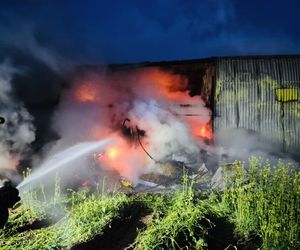 Pożar w Andrzejkach. Strażacy walczyli o uratowanie zwierząt i domu