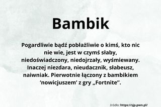 Młodzieżowe Słowo Roku 2024 