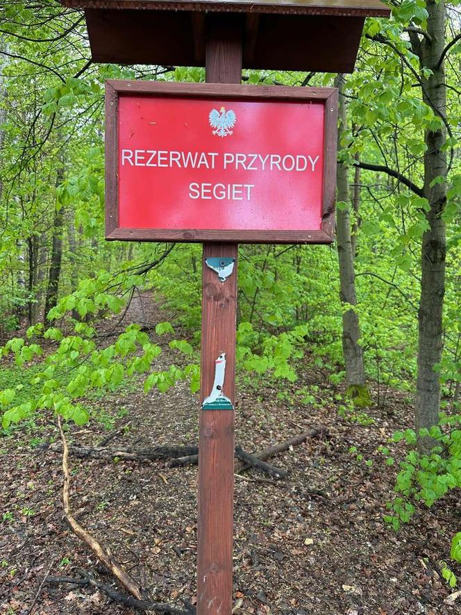 W rezerwacie Segiet jest jedna ścieżka rowerowa. Rowerzyści mają to gdzieś i tworzą swoje. I niszczą przyrodę