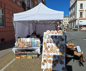 Festiwal Karpaty na Widelcu w Rzeszowie