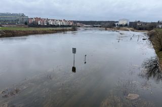 Poziom Warty w Poznaniu najwyższy od lat [GALERIA]