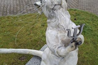 Nie krasnal, a szczur. Wrocław ma nowy, zaskakujący pomnik z ważnym przesłaniem