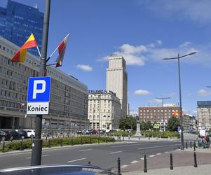Parkowanie w Warszawie to makabra! Lipy opóźniają budowę parkingu podziemnego