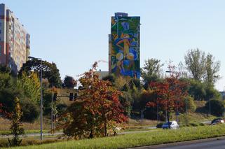 W Bydgoszczy powstał nowy mural. Działa na środowisko jak 400 drzew! 