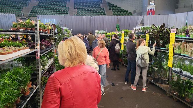 Bydgoszcz rozkwitła zielenią w "Łuczniczce". Tak było na Festiwalu Roślin