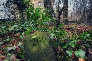 Zabójstwo pastora pod Bolesławcem. W opuszczonym kościele straszy już od prawie 80 lat 