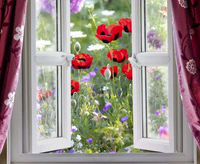 ZRÓB TO SAM: zazdrostka w maki. Ładna dekoracja okna WIDEO